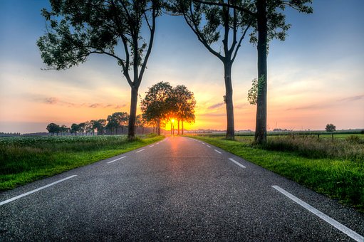 Sunset, Road, Trees, Asphalt, Sunlight