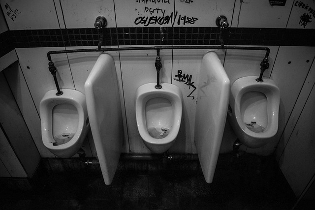 Free Urinoir Toilet photo and picture
