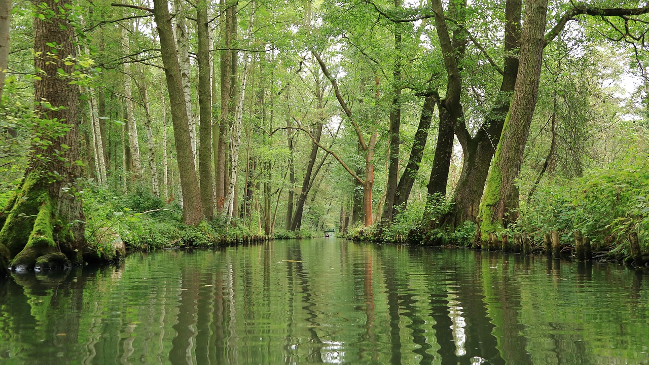 Spreewald Agua Canal Foto Gratuita No Pixabay Pixabay