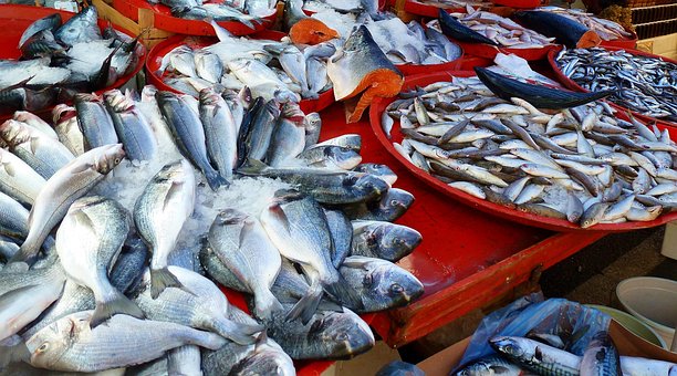 Free Fish Market photo and picture
