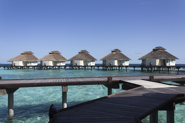 the maldives, overwater, bungalows, holiday, paradise, cabins, over the water, water, sea, landscape, view, summer, overwater, overwater, overwater, overwater, overwater