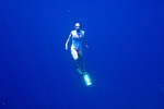 swim, snorkel, dive