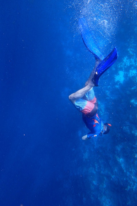 13+ Ocean Pressure Example: Detailed Facts 3 Dive, Snorkel, Boy, Underwater, Blue, Sea, Water, Swim