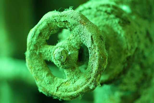 Free Museum Of Industry Brandenburg photo and picture