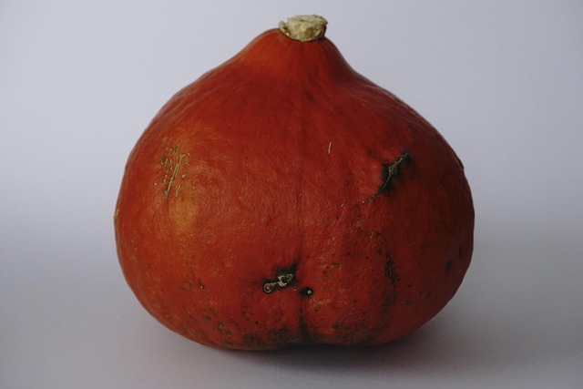 Pompoen, Groenten, Herfst Motief