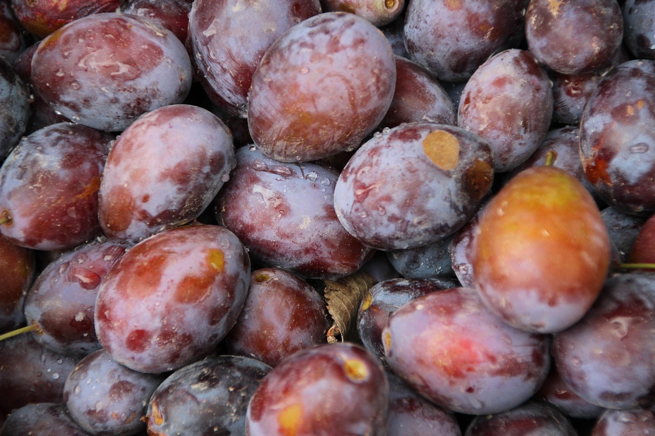 Plums Fruit Harvest Free photo on Pixabay Pixabay
