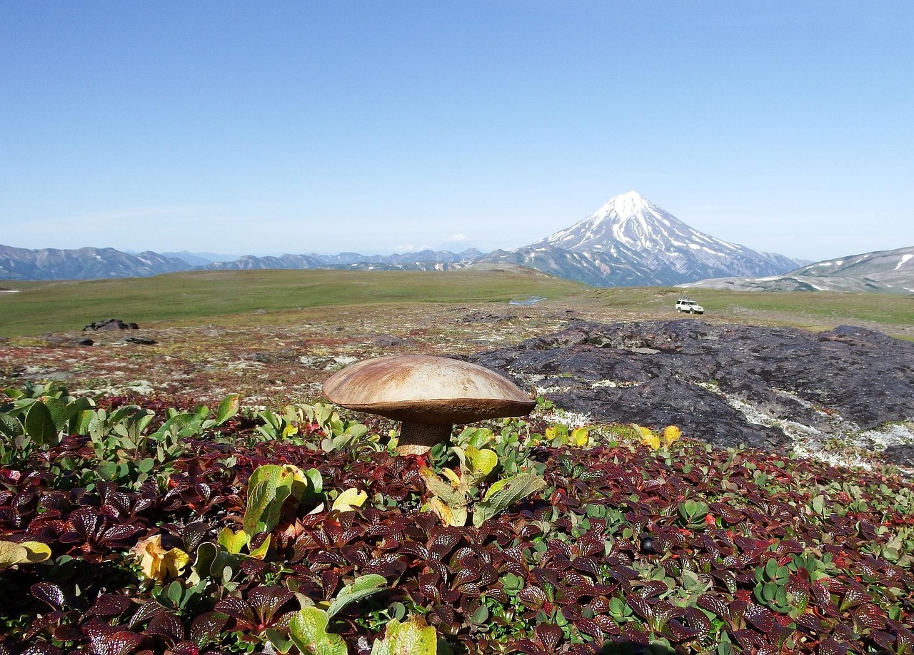 Mountain Tundra - free online jigsaw puzzle photo
