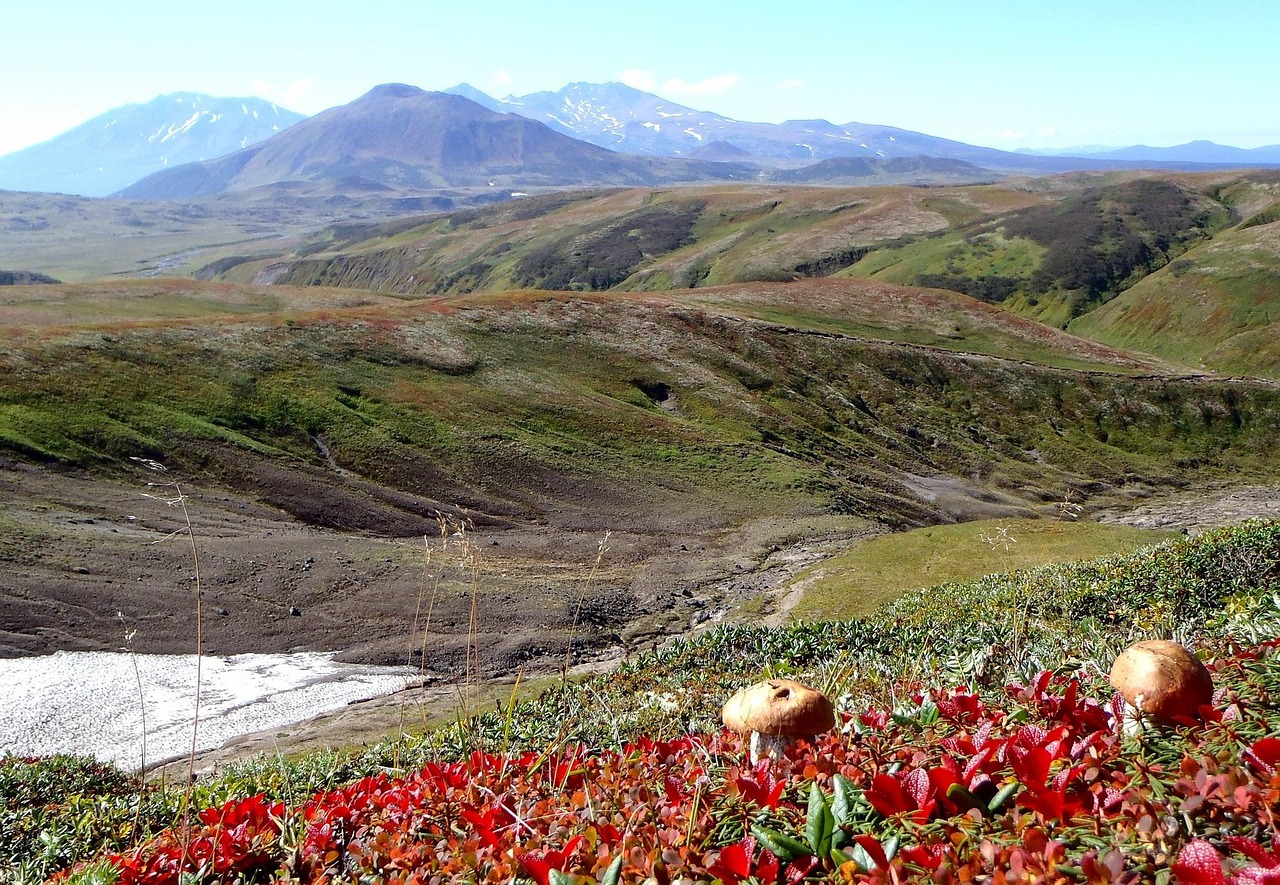 Mountain Tundra - free online jigsaw puzzle photo