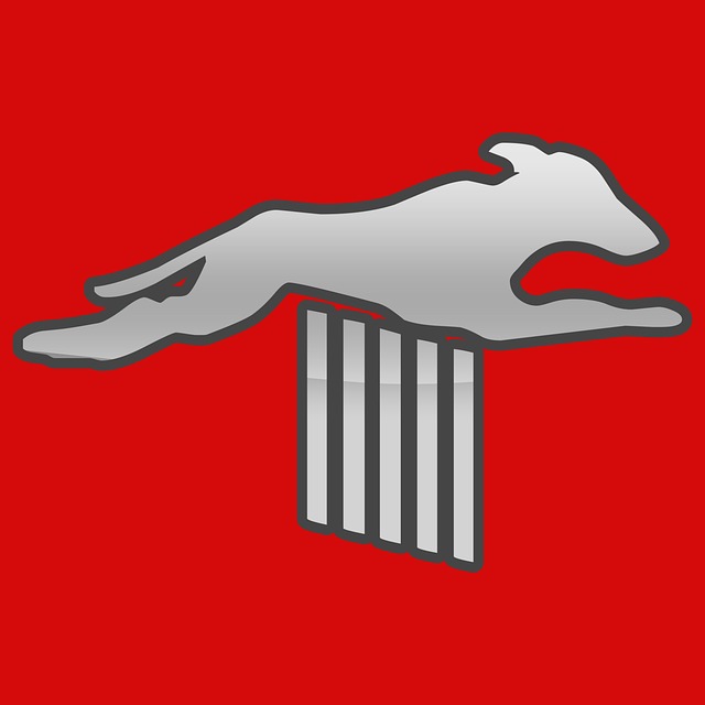 Free animal nature jump illustration