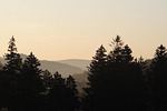 forest, landscape, mood