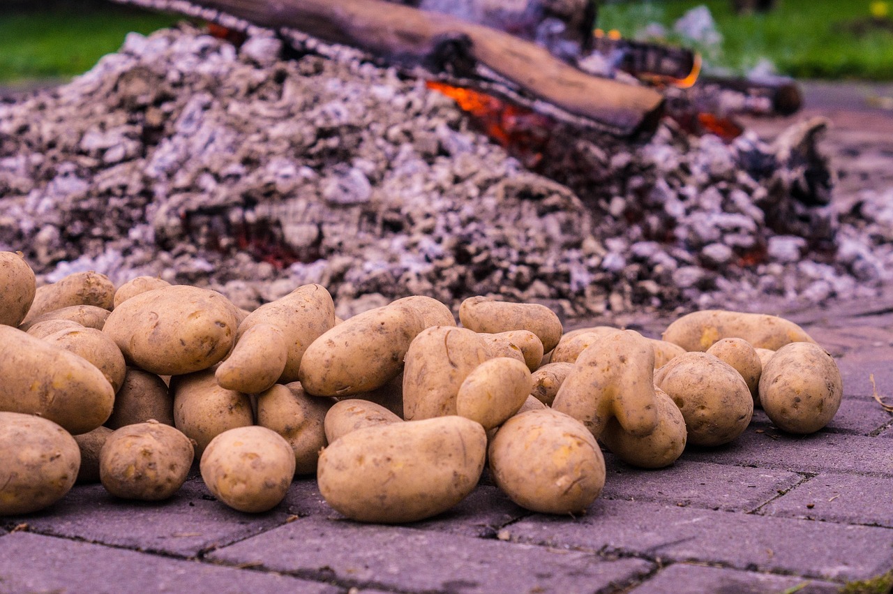 Potato Fire Roast Potatoes Embers Free photo on Pixabay Pixabay