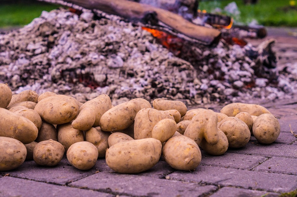 Potato Fire Roast Potatoes Embers Free photo on Pixabay Pixabay