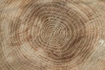 wood, texture, wood texture