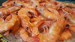 buffet, row, fresh