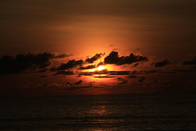 Free Beach Sun Rise photo and picture