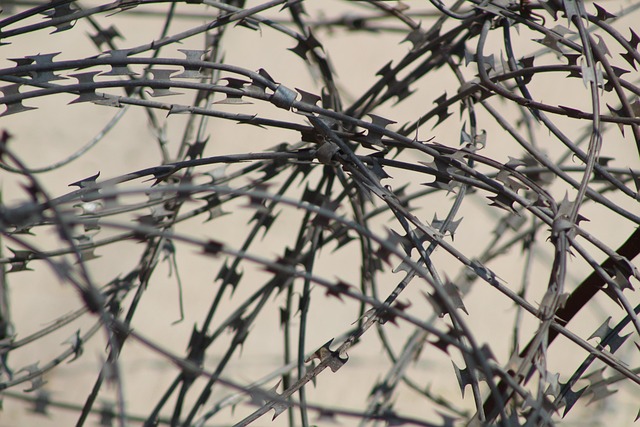 Free Barbed Wire Fence photo and picture