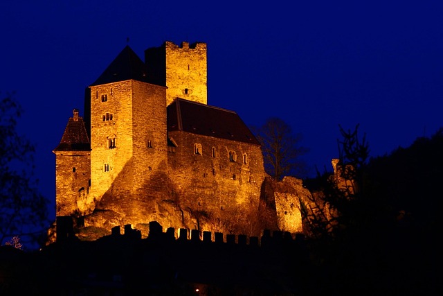 Free Castle Night photo and picture