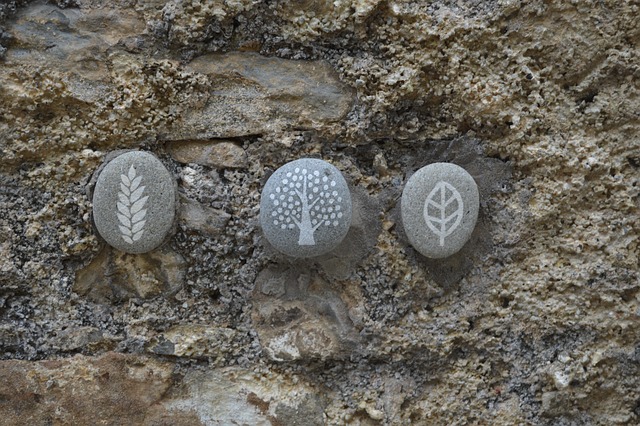 Free Stone Wall photo and picture