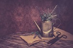 still life, vintage, scissors