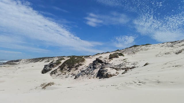Free Beach Rocks photo and picture