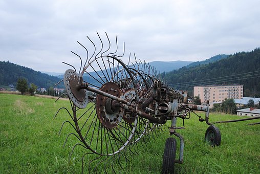 Muszyna, Pieniny, Hory, Polsko, Krajina