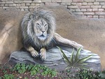 lion, wall art, wall