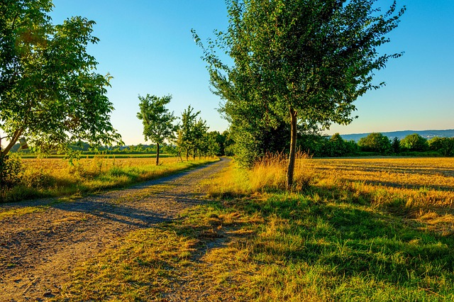 Free Summer Evening Landscape photo and picture