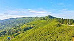 kanyam, ilam, nepal