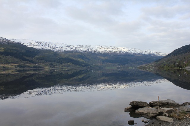 Free Reflection Sea photo and picture