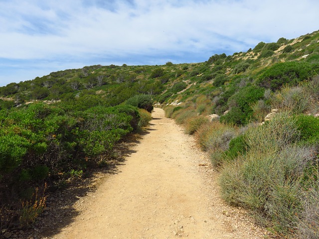 Weg, Wanderweg, Landschaft
