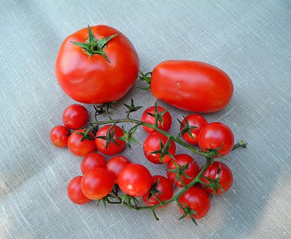 Roșie, Legume, Red, Plante, Sănătos