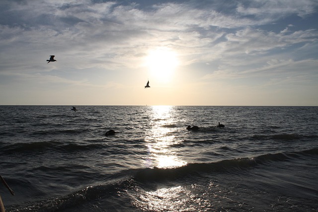 Free Sunset Florida photo and picture