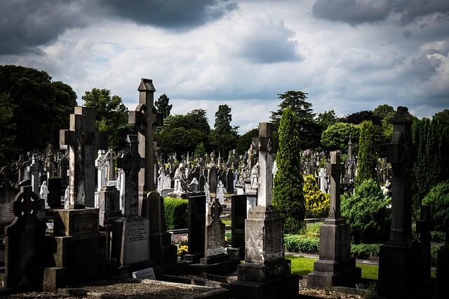Glasnevin, Dublin, Irland, Kirkegård