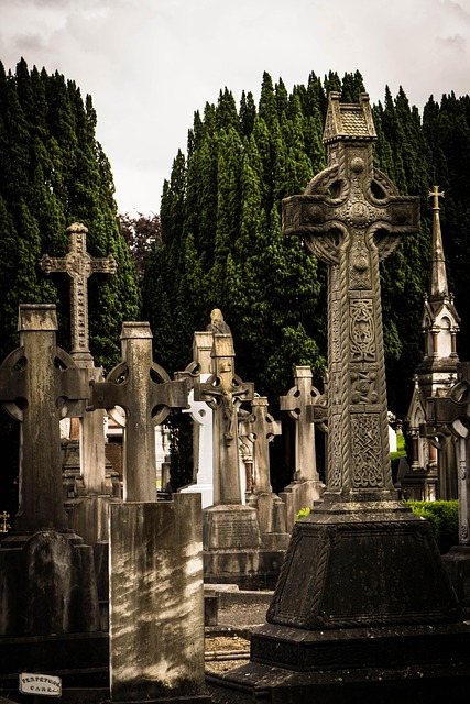 Glasnevin, Dublin, Irland, Kirkegård