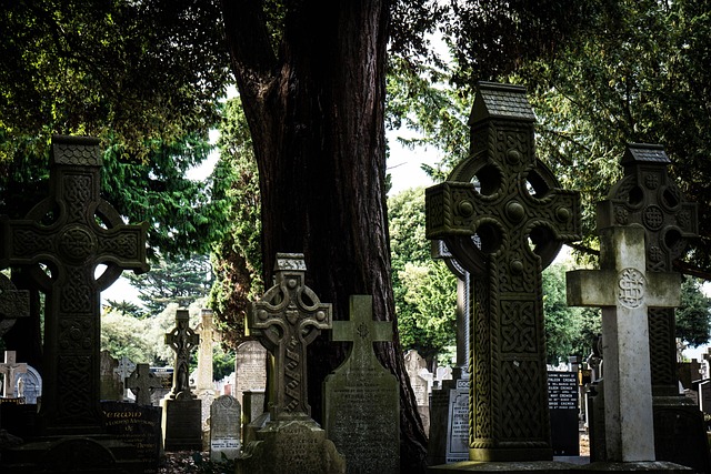 Glasnevin, Dublin, Irland, Kirkegård