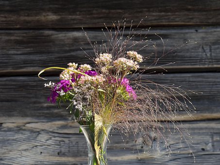 Free Flowers Flower Wallpaper photo and picture