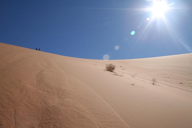 Free Desert Africa photo and picture