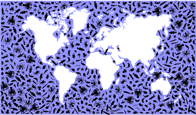 Free marine sea ocean illustration