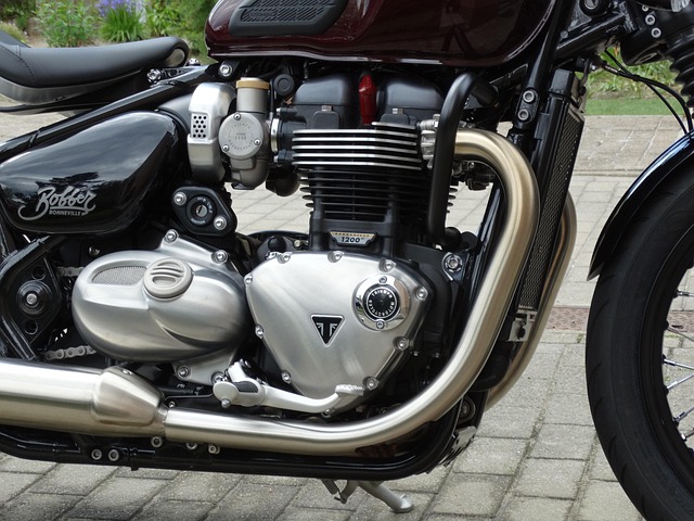 Free Triumph Engine photo and picture