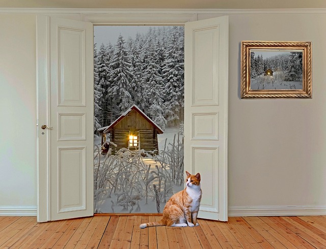 Free Room Space photo and picture