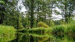 spreewald, channels, depth