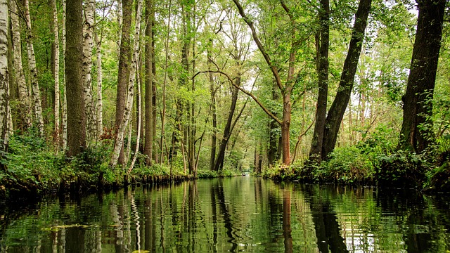 A punt on a Spreewald canal near Lübbenau