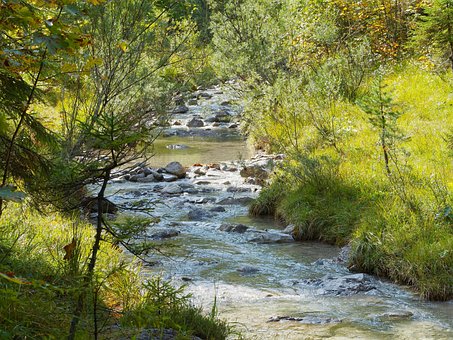 Free Stream Water Courses photo and picture