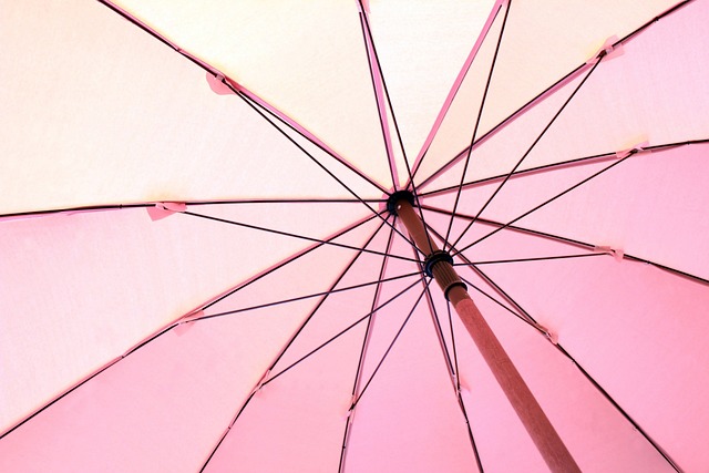 Rosa, Guarda-Chuva, Fechar-Se, Garota