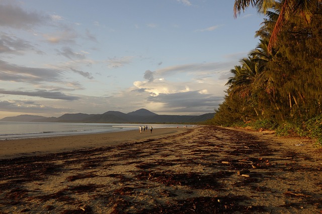 Natuur, Australië, Port Douglas