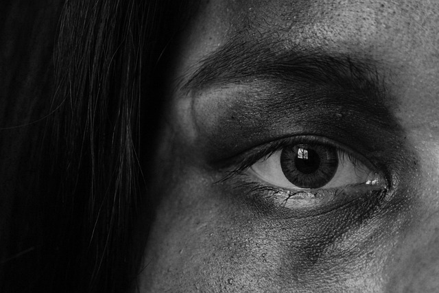 Free Eyes Fine Arts photo and picture