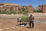 morocco, la kasbah, kasbah