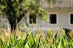 farmhouse, land, welcome to