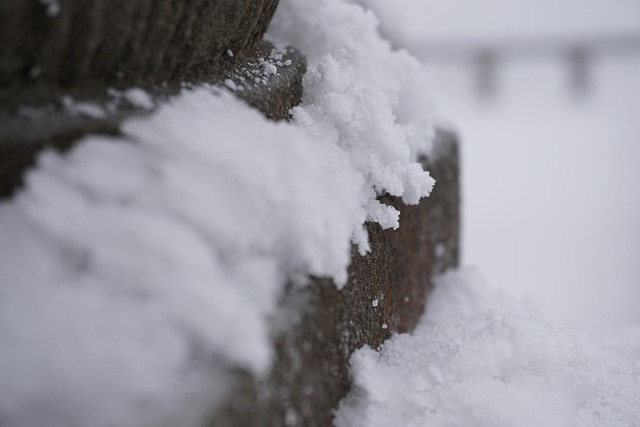 Free Snow Nature photo and picture
