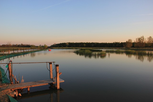 Free Lake Nature photo and picture